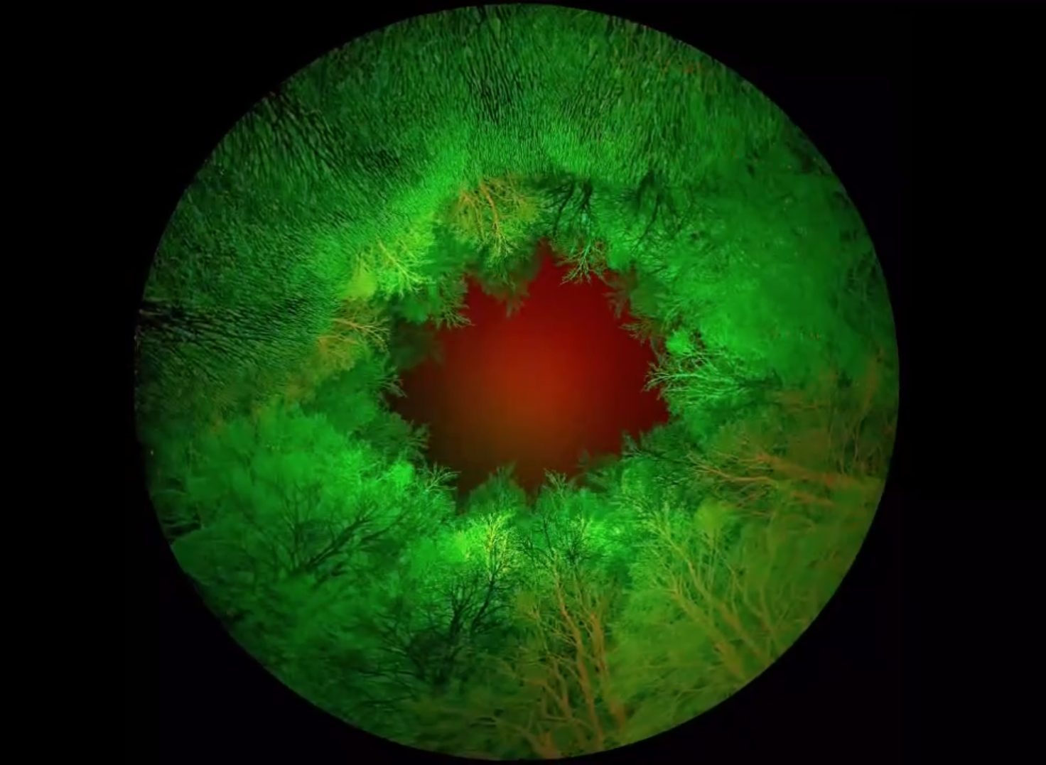 I Don't Understand 360°