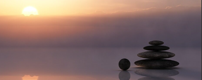 Wellness